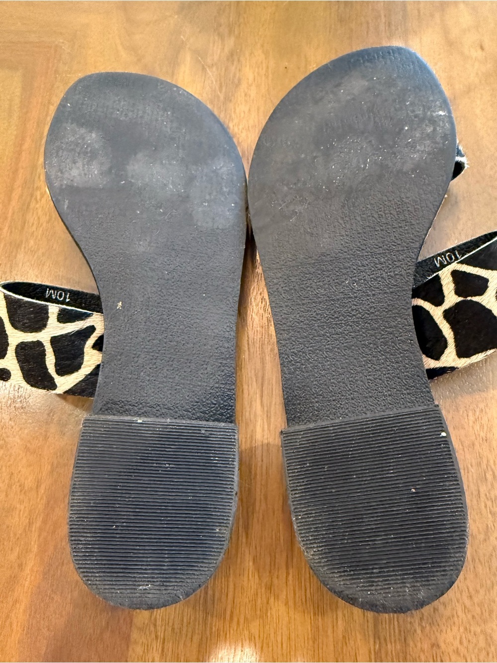 Coconuts slides - Picture 4 of 4